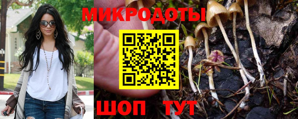 Кулебаки  Галлюциногенные грибы MAGIC MUSHROOMS  Вход с VPN 