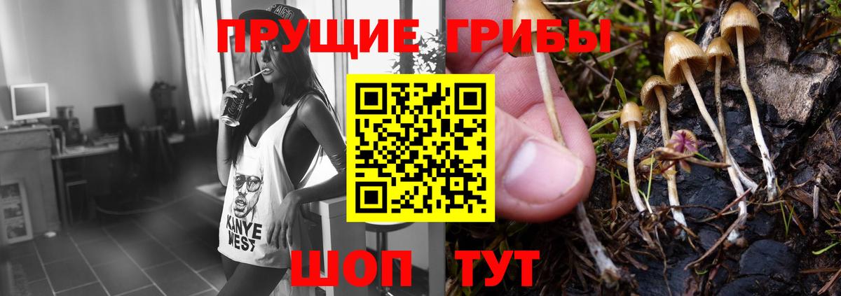 Псилоцибиновые грибы ЛСД Кулебаки